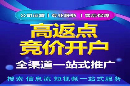 某企业选择SEM外包公司的决策与成果展示